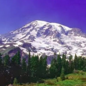 Meet your Posher, Latavia